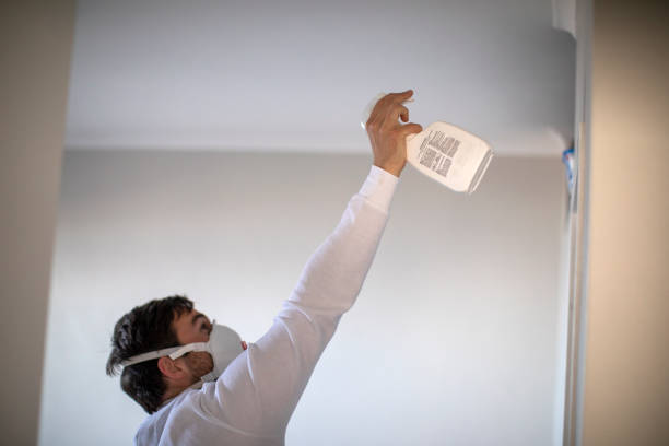 Best Best Mold Removal Companies  in Greenville, VA