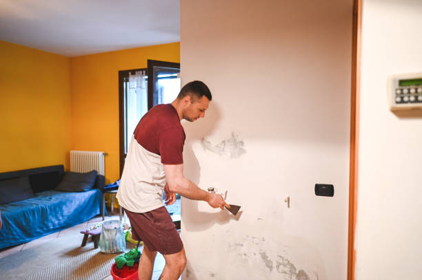 Best Office Mold Removal Services  in Greenville, VA